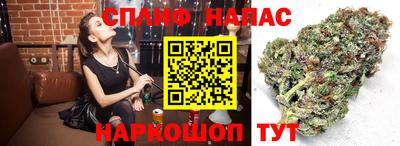 мет Ливны