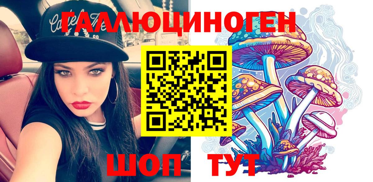 Галлюциногенные грибы Psilocybine cubensis  Вход с VPN  Губаха 