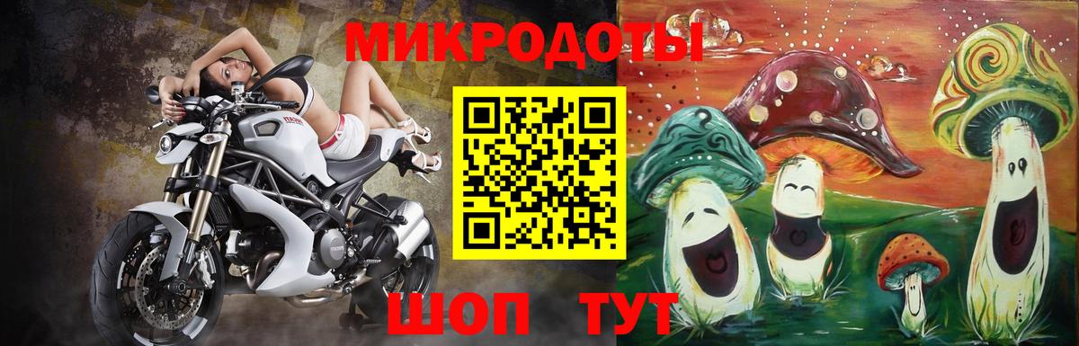 Псилоцибиновые грибы мухоморы Губаха